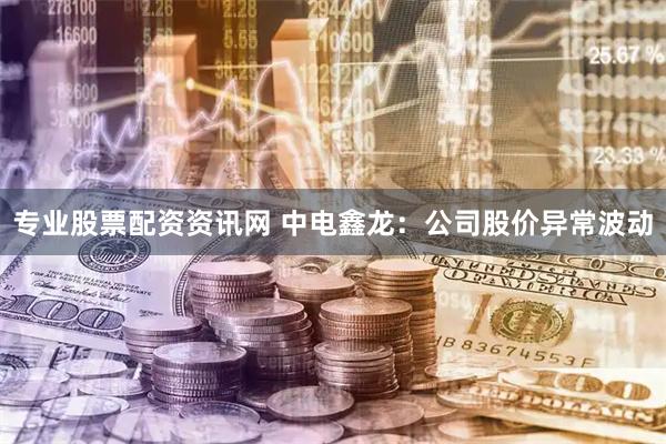 专业股票配资资讯网 中电鑫龙：公司股价异常波动